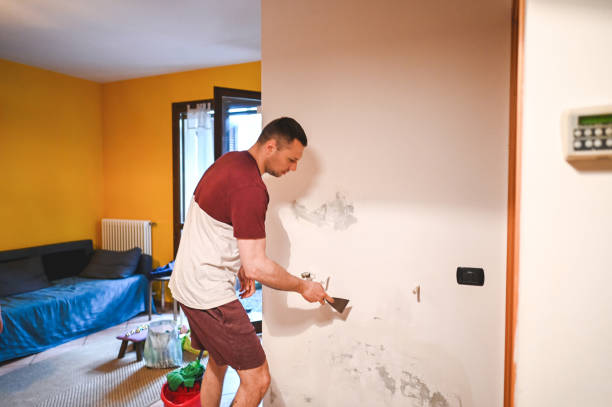 Best Attic Mold Removal  in Auburn, IN